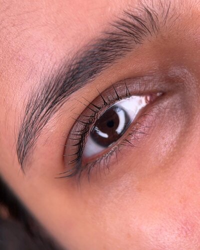 Lash  Lift and Tint New  York