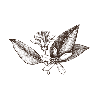 Flower Logo