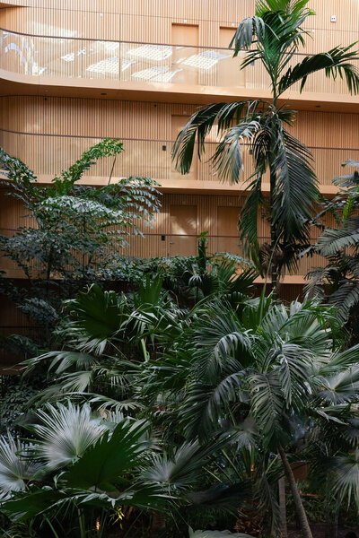 Kantoortuin met veel groene planten palmbomen, gezonde werkomgeving