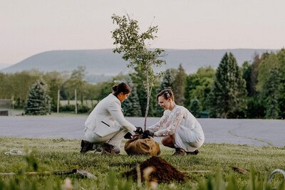 a couple together on a mountaintop. The groom is kissing the grooms forehead