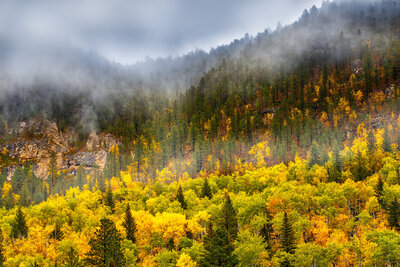 black hills south dakota photographer 25