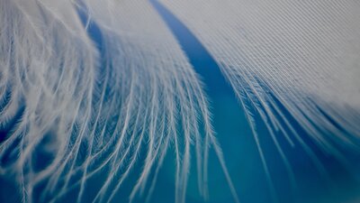 AdobeStock_351195560