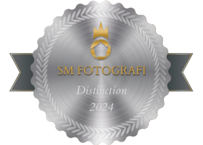 merit-badge-10298