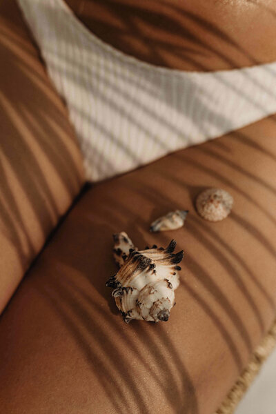 kaboompics_shells-legs-32389-wkedit2