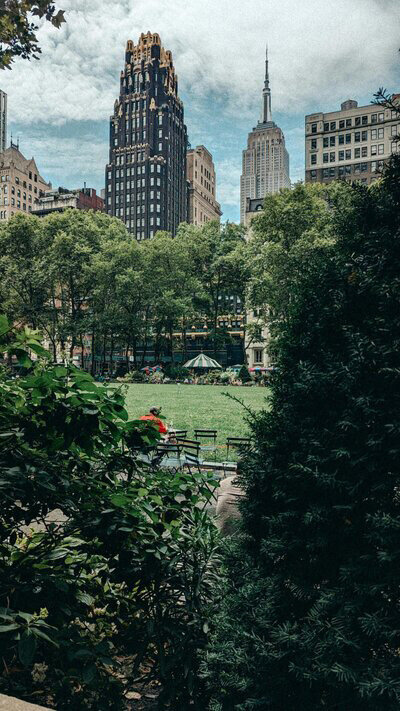 A scenic park featuring lush trees and urban buildings in the distance, creating a blend of nature and city life.
