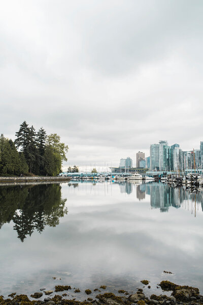 Scenic waterfront city view with trees and buildings reflected in the water.