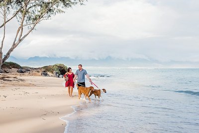 Lovely couple with their 2 dogs at Kanaha Beach captured by Mariah Milan.