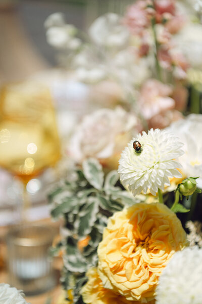 Bride and Groom seeing their reception for the first time - photographed by Detroit wedding photographer Jane Victoria