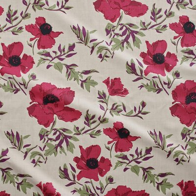 matilija-bloom_1080x