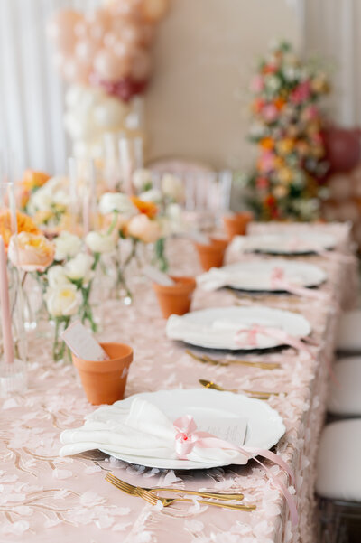 bride's wedding shoes