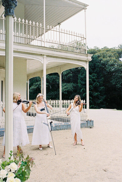 Luxury Wedding