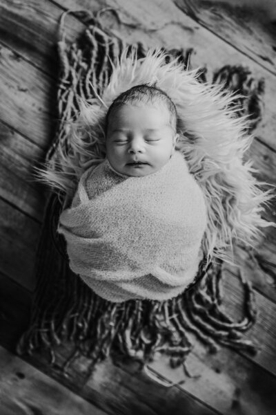 baby photos indiana