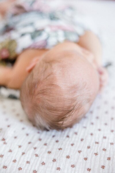 close up photo of newborn baby's head of hair