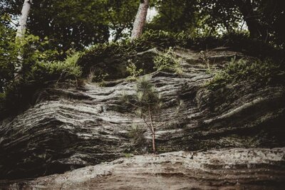 A natural stone wall, symbolizing stability, transformation, and grounded power