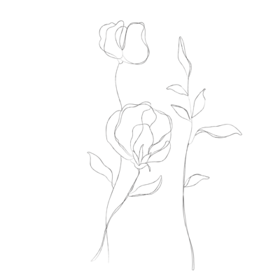 minimalist botanical line sketches - galerie design studio-10