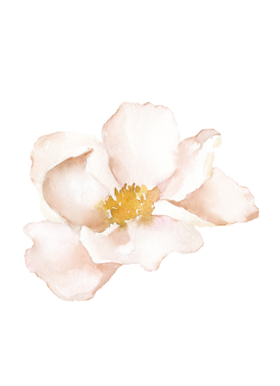 Outer Banks Family Photography