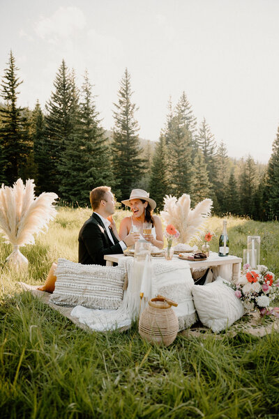 boho elopement picnic
