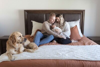 Family photo with parents sitting on a bed, cradling their newborn baby, while their golden retriever lays at the foot of the bed, looking off to the side.