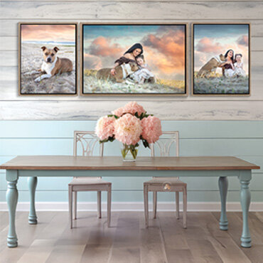 dog photographer lake macquarie