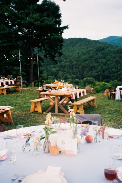 The rustic and modern reception tables with bud vases designed by Moonlight Floral Co, photographed at Paint Rock Farm by My Sun and Stars Co.