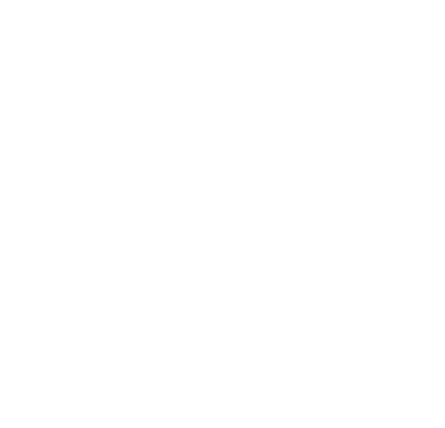 champagne bottle icon