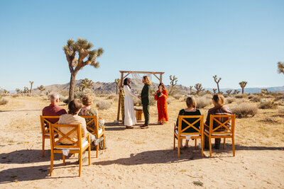 St. Louis Wedding photographer engagement session coffeeshop