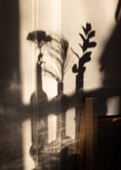 Sepia photo of shadows of three vases with flowers.