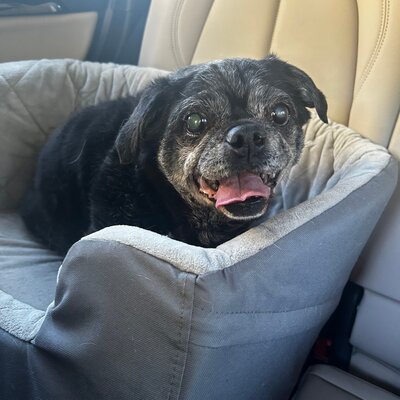 559027237_1228225449346436_111532353067188605_n