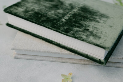 fine art velvet heirloom album knoxville tennessee newborn photographer