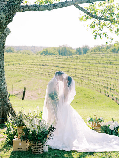 bride and groom kissig in front of vineyard