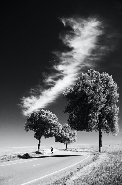 Person standing under trees with white cloud in the sky