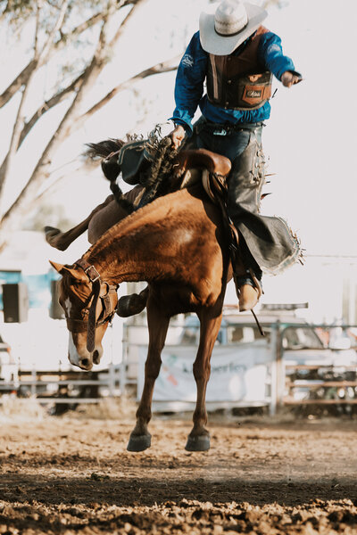 cowboy riding a horse at a rodeo