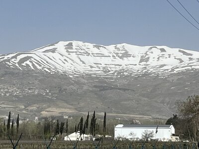 lebanon 1