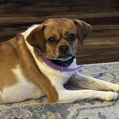Abby New 01 2025