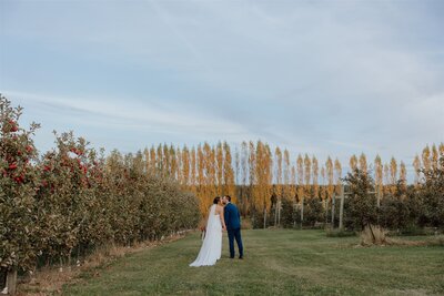 bride and groom kissing in an apple orchard during fall