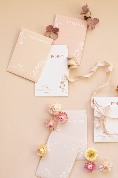 Whistling Prairie Flower Luxury Seed Envelope Design for floral brand