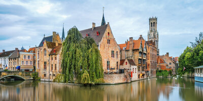 Scenic view of Bruges, Belgium, curated by a European travel specialist, featuring historic buildings along a canal. A prominent willow tree and the iconic Belfry of Bruges tower are visible. The overcast sky adds to the tranquil atmosphere.