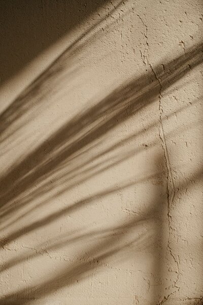 Shadow of tall dried grasses against a wall, creating a natural and textured pattern