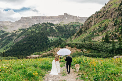 Wide open mountain range and view of the San Juans. There are a lot of trees and green grass with wildflowers. The couple is walking away, the bride is holding her dress and the groom is holding an umbrella and holding the leash of the dog. 