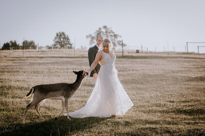 Bride and groom walk through a field with a deer following them