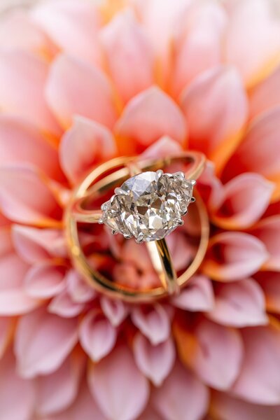 modern colorful photo of wedding rings on pink flower
