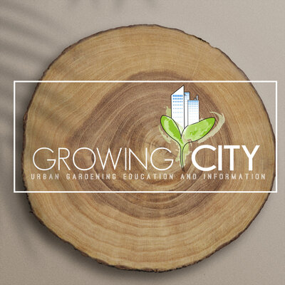 Growing City Logo with tree stump