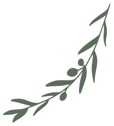 Decorative Olive Branch