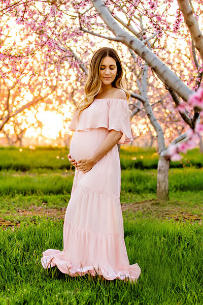 Pregnant Lady in the Cherry Blossoms wearing a pink dress cradling her belly for her outdoor maternity photography session in Burlington, Ontario.