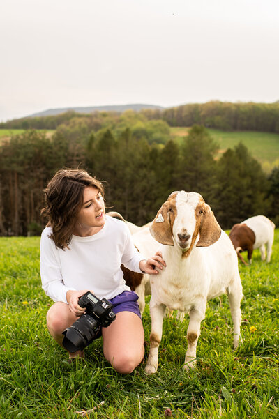 livestock show
