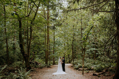 A bride and groom stand in the middle of a forest path, surrounded by lush green trees and ferns. The bride is in a white dress with a long veil, and the groom is in a black suit. They are facing each other.