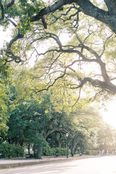 MarkieMicaPhotography-5702