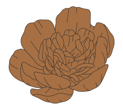 floral illustration