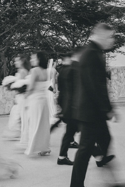 bride and groom kissing while wedding party walks by them