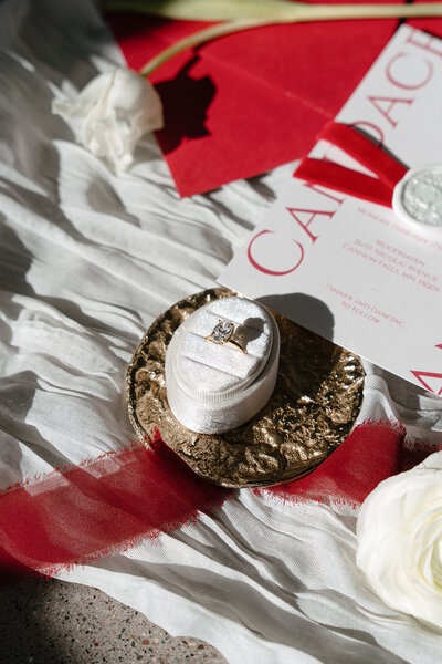 minnetonka wedding photographer team